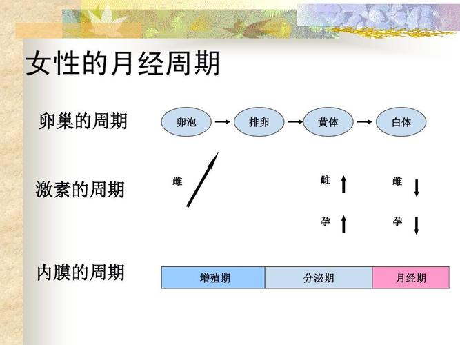 这些时间适宜受孕吗？(月经过后几天容易受孕）