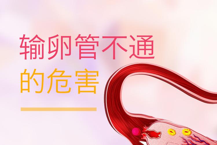 输卵管堵塞的女性该如何要孩子？(生过一个孩子输卵管会堵吗）