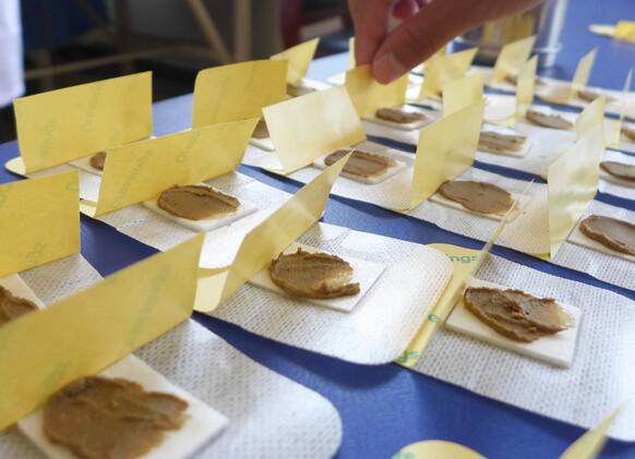 贴三伏贴能做足疗吗(三伏贴贴脚心位置）