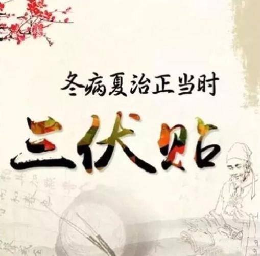 贴三伏贴可以喝可乐吗(贴三伏贴吃了冷饮怎么办)