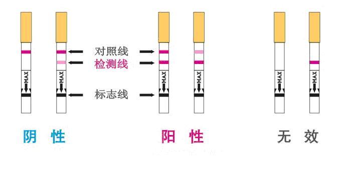 避孕试纸怎么使用(验孕棒不准六种情况)