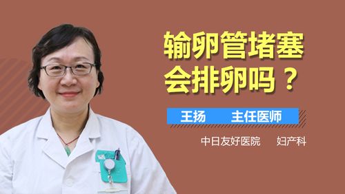 输卵管堵塞有什么样症状(怎么知道输卵管堵塞没有）