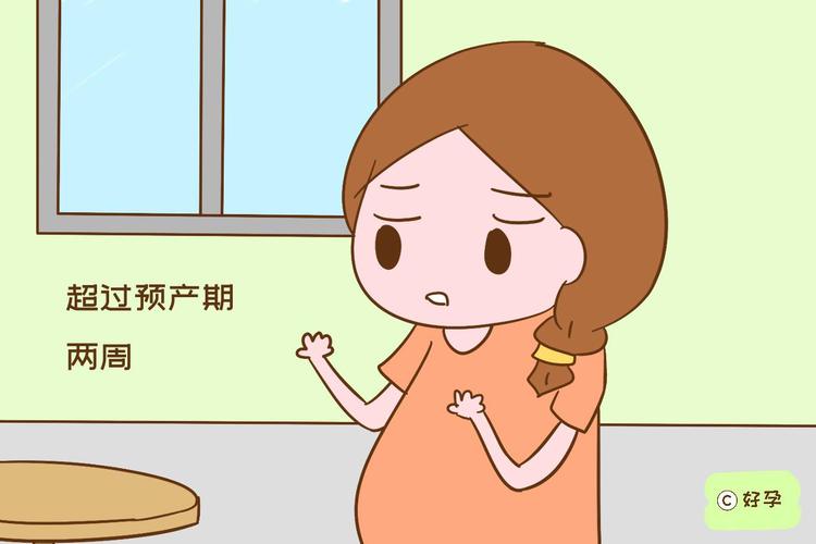 请问备孕挂什么科(备孕医院检查挂什么科）