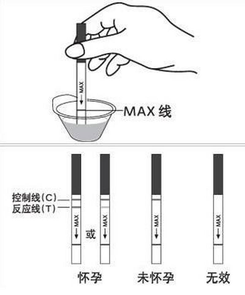 试纸查早孕准确吗(早孕试纸必须用晨尿吗）