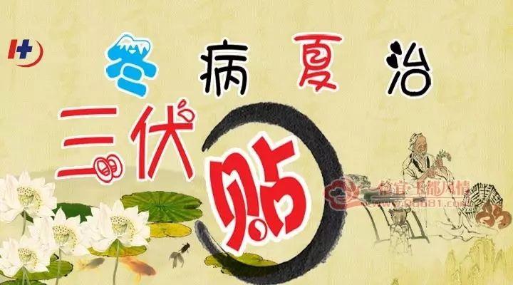 贴三伏贴能吃海鲜吗(贴三伏贴吃了发物怎么办）