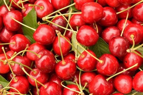 贫血的人可以吃猕猴桃吗(贫血能吃什么水果)