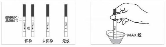 验孕棒一定要用晨尿吗验孕棒怎么使用图解法(验孕棒是直接尿上去吗）