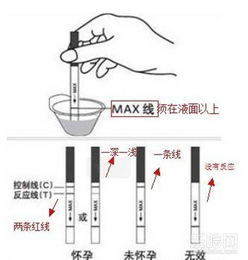 避孕试纸准吗(自然流产后最早几天排卵）