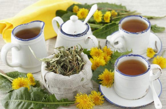 蒲公英茶备孕可以喝吗(备孕期间可以喝蒲公英根茶吗）