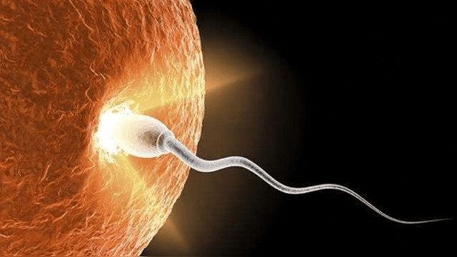 逆行射精能自己恢复吗(无精子症能恢复生精功能吗）