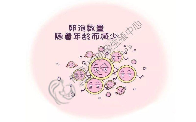 试管获得卵子数少可能的因素有哪些?(卵子太少做试管成功率高吗)