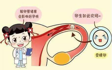 输卵管堵塞的症状(女人怎么会输卵管堵塞）