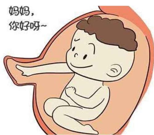 胎动在左边多是男孩吗(为什么左边胎动是女孩）