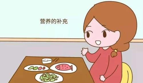 备孕期间怎么补身体