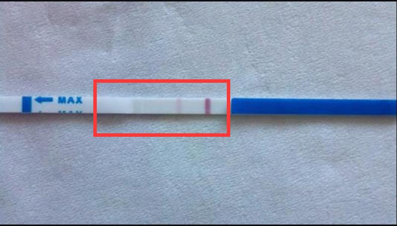 验孕棒两条杠是怀孕吗(试纸怎么用才知道怀孕）