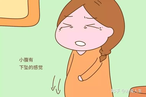 肚子胀是月经还是怀孕