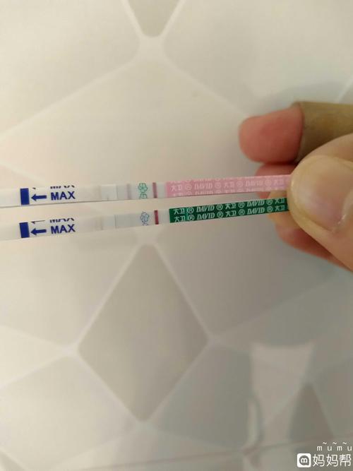 试纸查早孕准确吗(早孕试纸必须用晨尿吗）