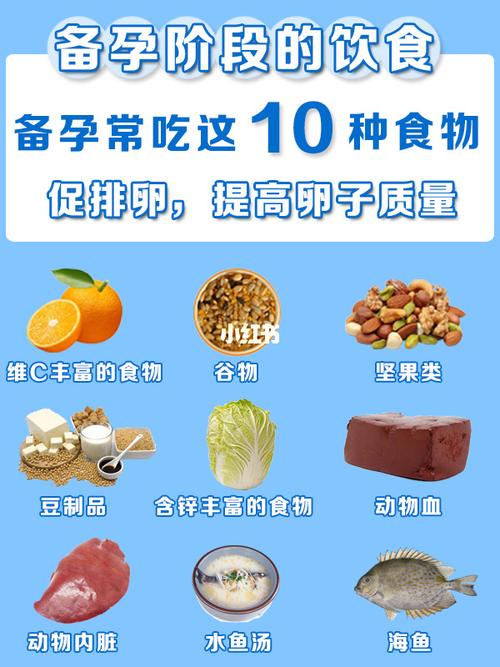 身体比较差怎么备孕(备孕调理)