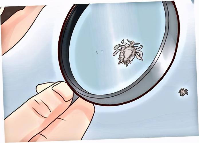 阴虱怕酒精吗你对酒精了解多少？(阴虱怕高锰酸钾吗）