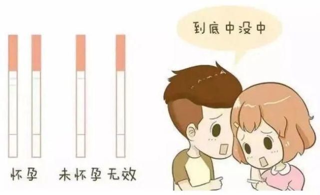 长期备孕无果,会是哪些原因呢?(为啥一直备孕不成功)