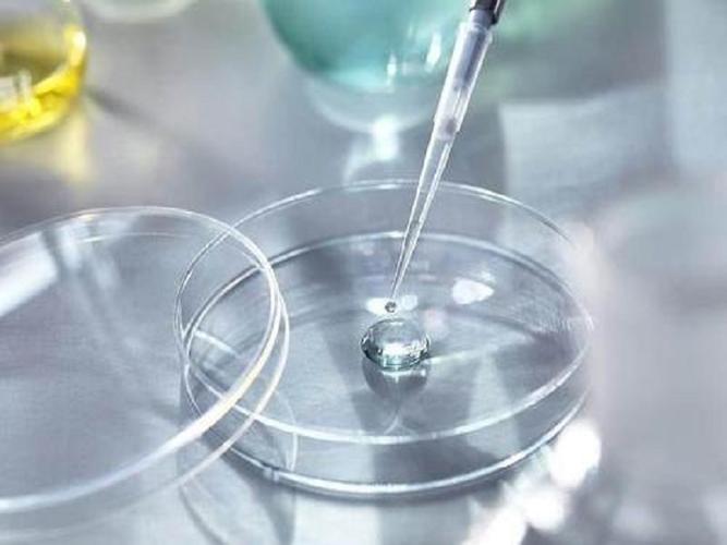 试管婴儿养囊是什么意思哪些人适合囊胚培养(试管婴儿是怎么来的）