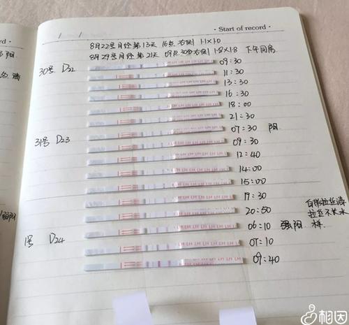 预测排卵时间，试试3种方法(排卵试纸什么时间检测）
