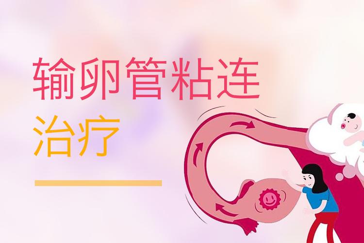 输卵管粘连想怀孕，该怎么办？(输卵管粘连怎么治）