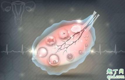 通水后容易怀孕吗(通水后促排怀孕几率大吗）