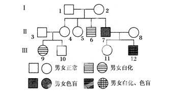 这几种遗传病“重男轻女”，备孕的你要知道(四种传男不传女的遗传病）