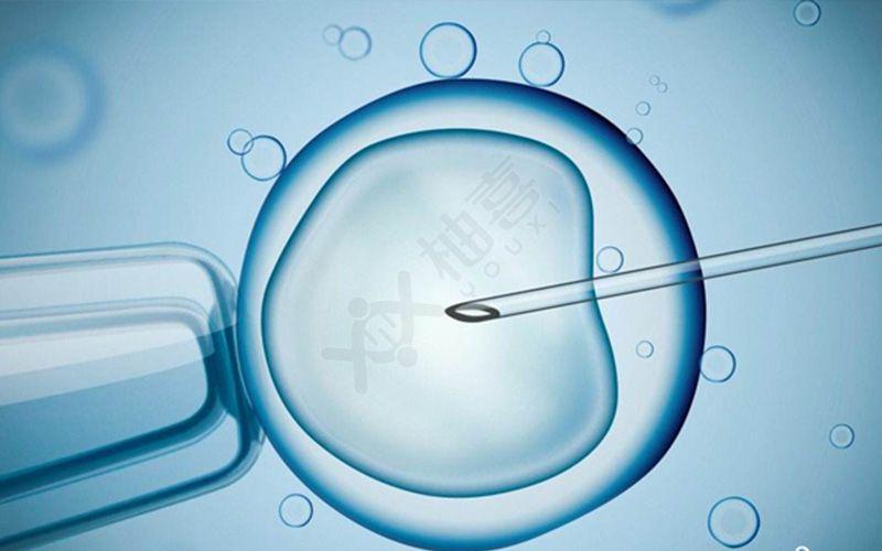 试管取卵后腹水感觉如何(取卵后腹水是什么感觉)