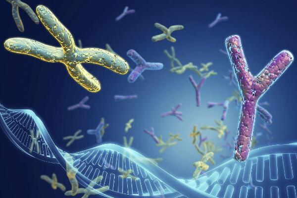 试管婴儿染色体异常的几率大吗(生化染色体异常的几率大吗）