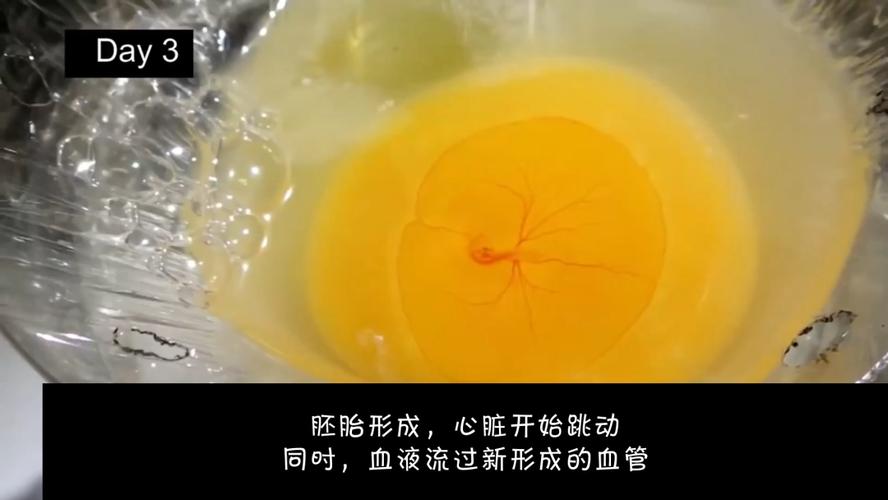 阴虱的潜伏期是多久不知不觉间你可以患上了阴虱！(阴虱在身体能潜伏多久）