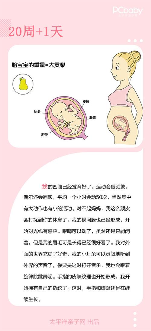 胎停育后再备孕一定要做这项检查吗(胎停一次不检查可以吗）