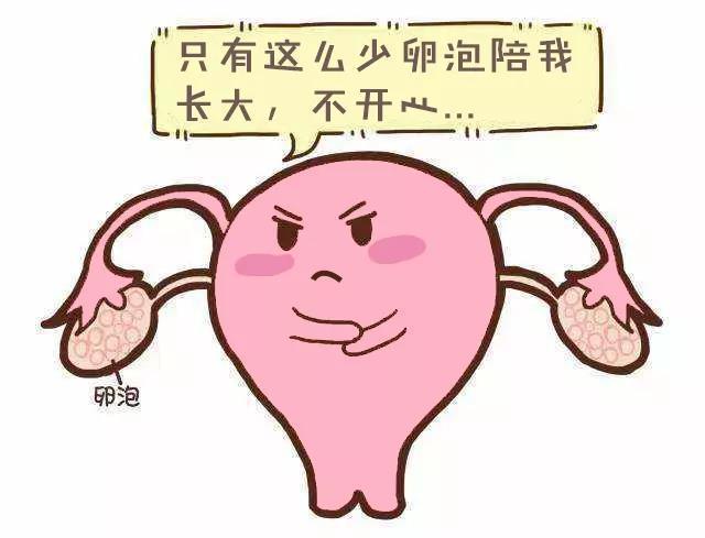 试管获得卵子数少可能的因素有哪些?(卵子太少做试管成功率高吗)