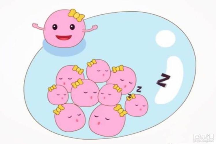 试管婴儿促排卵越多越好吗试管促排卵卵泡是不是越多越好试管婴儿促排卵越多越好吗试管过程中发现，许多患者总希望取到尽可能多的卵子，甚至在促排阶段相互攀比卵(试管促排会增加卵泡数量吗）