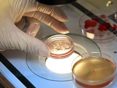 试管婴儿过程中，老公们该怎么配合？(试管婴儿怎么个流程）