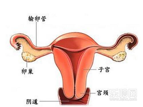 输卵管炎的症状表现(输卵管炎症）