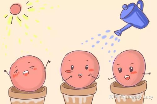 卵子质量差是基因问题吗(基因导致卵子质量差）