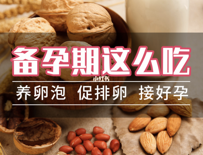 卵子质量不好吃什么药调理(卵泡不均匀吃什么调理)