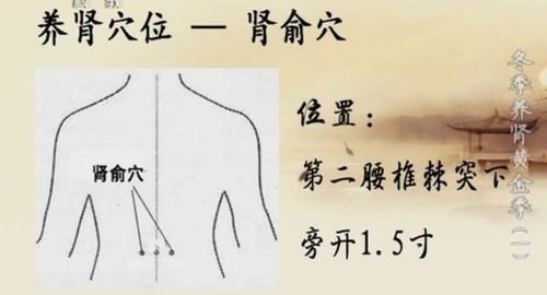 反复流产的主要原因,找到正确的原因可以准确治疗(肾俞的准确位置怎么找)