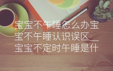 宝宝不午睡怎么办宝宝不午睡认识误区_宝宝不定时午睡是什么原因(对保险认识的误区)