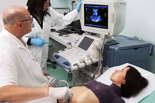 办准生证孕检检查项目有哪些(准生证孕检都检查什么项目）