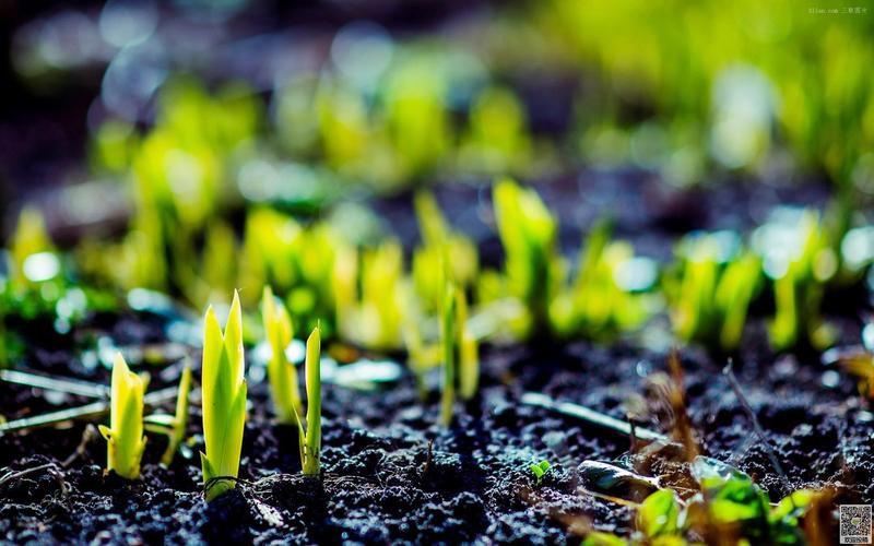 哪个季节受孕最好？你知道有哪些备孕注意事项吗？(备孕什么时候的精子质量最好）