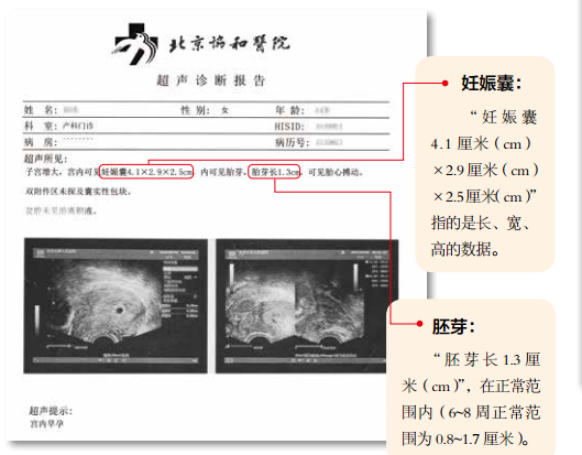 准备怀孕不能体检什么(备孕体检不能做什么项目)