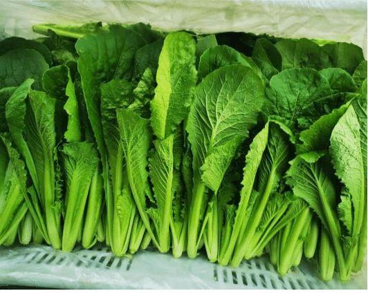 吃什么食物最影响怀孕(吃什么食物防止怀孕）