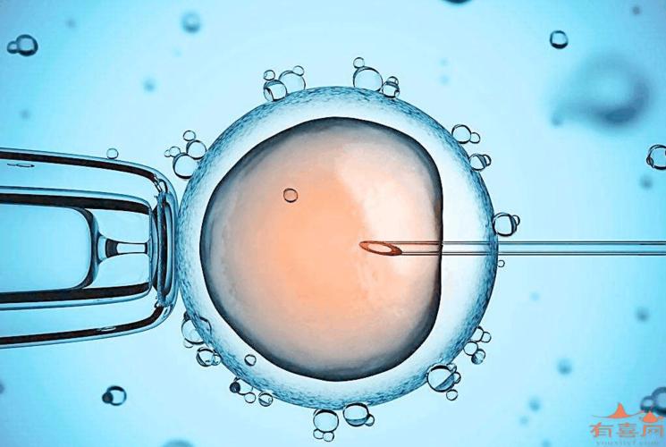 试管婴儿是怎么回事做试管婴儿对女性来说有多痛苦(做试管婴儿是不是很痛苦）