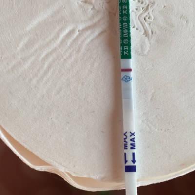 做b超监测排卵易怀孕吗(排卵后怀孕初细微感觉)