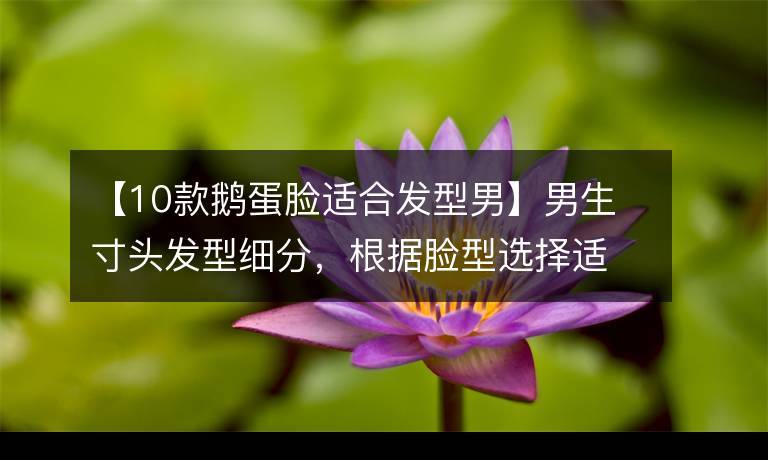 10款鹅蛋脸适合发型男