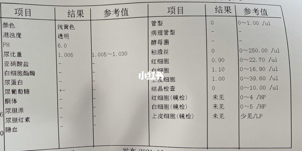 试纸几天测出怀孕(试条多少天才能验出怀孕)