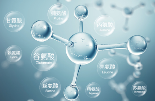 准备备孕吃什么生男孩(备孕前吃什么能生男孩)